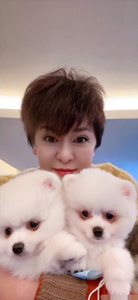 娱乐吃瓜向太郭碧婷